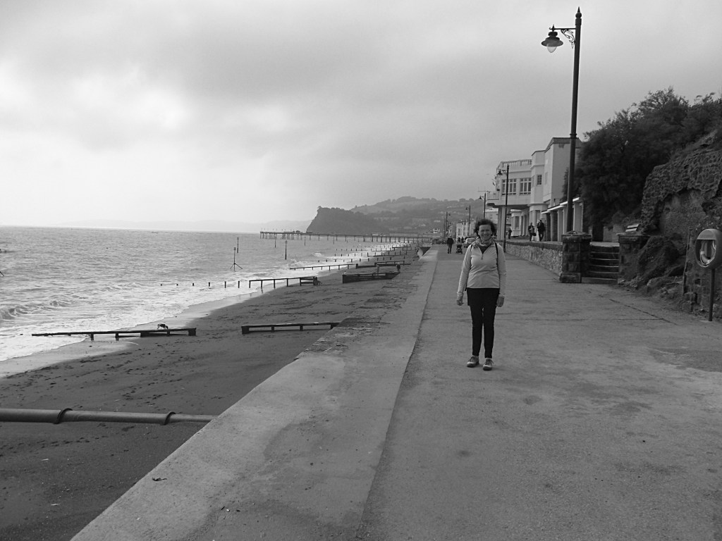 Teignmouth, Devon
