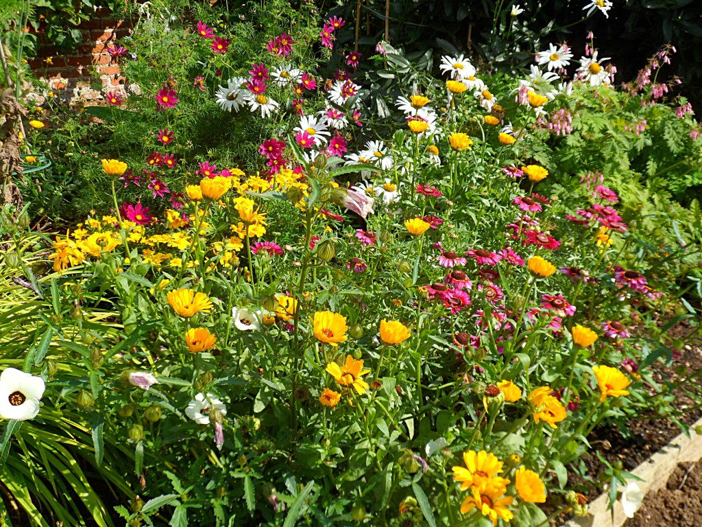 Felbrigg, North Norfolk