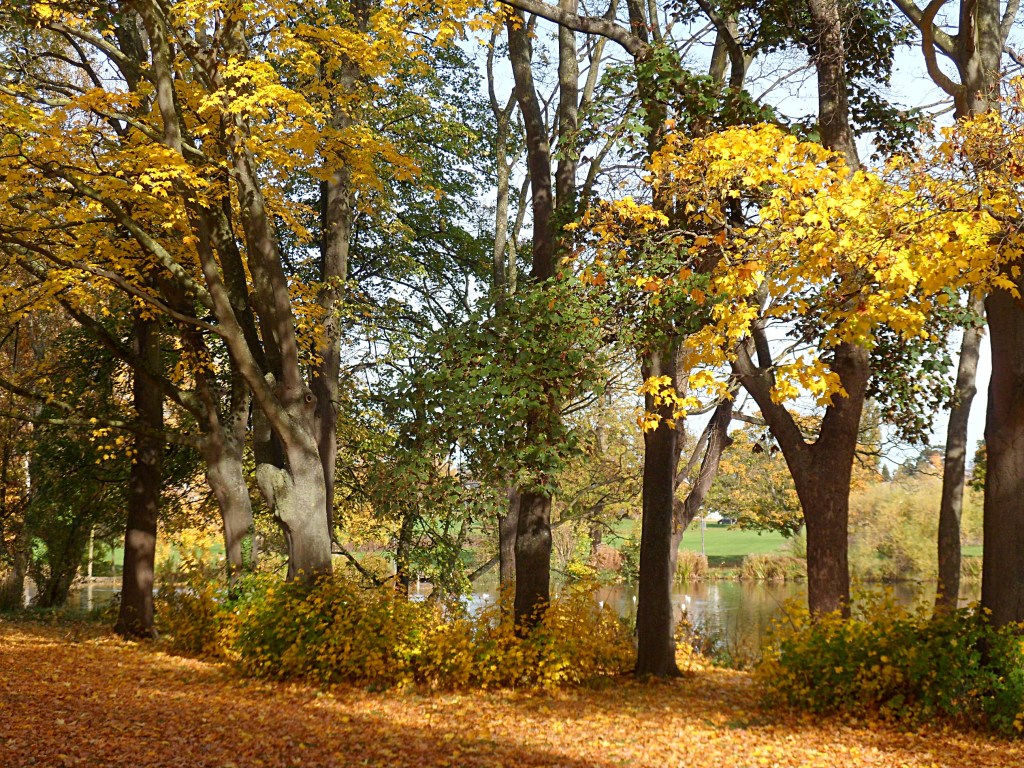 Pittville Park, autumn