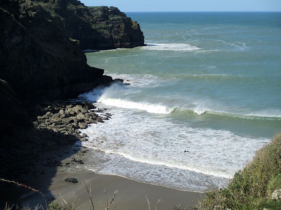 bossiney1
